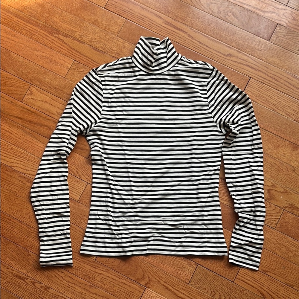 Frank and Oak Striped Turtleneck
